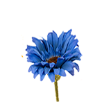 Blue daisy stem